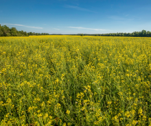Nos prestations sur le secteur de Neufchâtel-en-Bray
