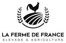 Nos prestations sur le secteur de Eu