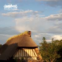 Notre zone d'activité pour ce service Vente et livraison à domicile de biofioul pour cuves de chaudières au fioul