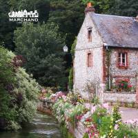 Nos prestations sur le secteur de Neufchâtel-en-Bray